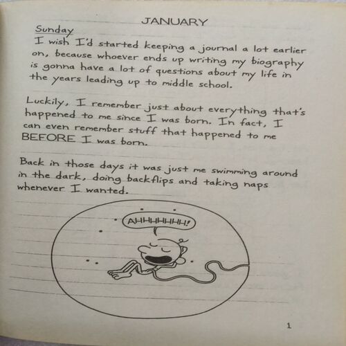 Diary Of A Wimpy Kid : The Third Wheel (By Jeff Kinney)