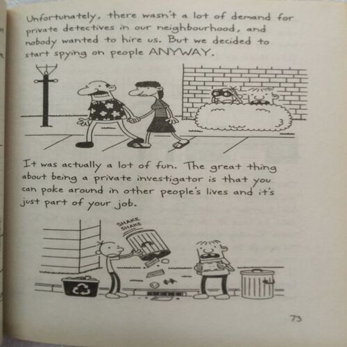 Diary Of A Wimpy Kid : The Third Wheel (By Jeff Kinney)