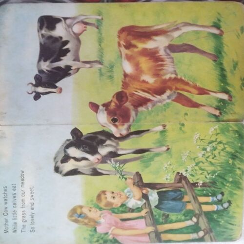 A Picture Book of My Pets