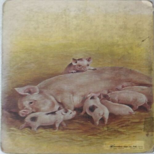A Picture Book of My Pets