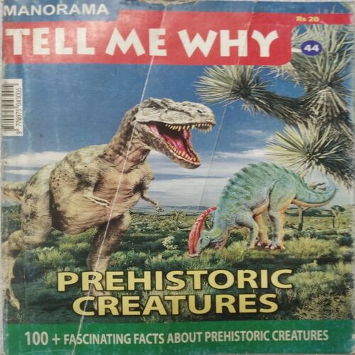 Tell Me Why ( May 2010 )