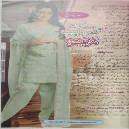 Pakeeza Aanchal ( March 2017 )