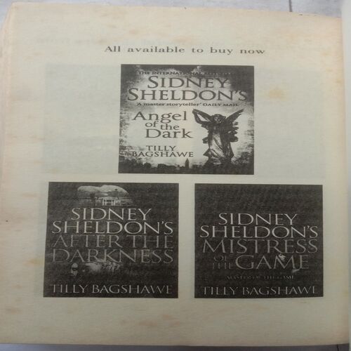 The Phoenix (By Sidney Sheldon)