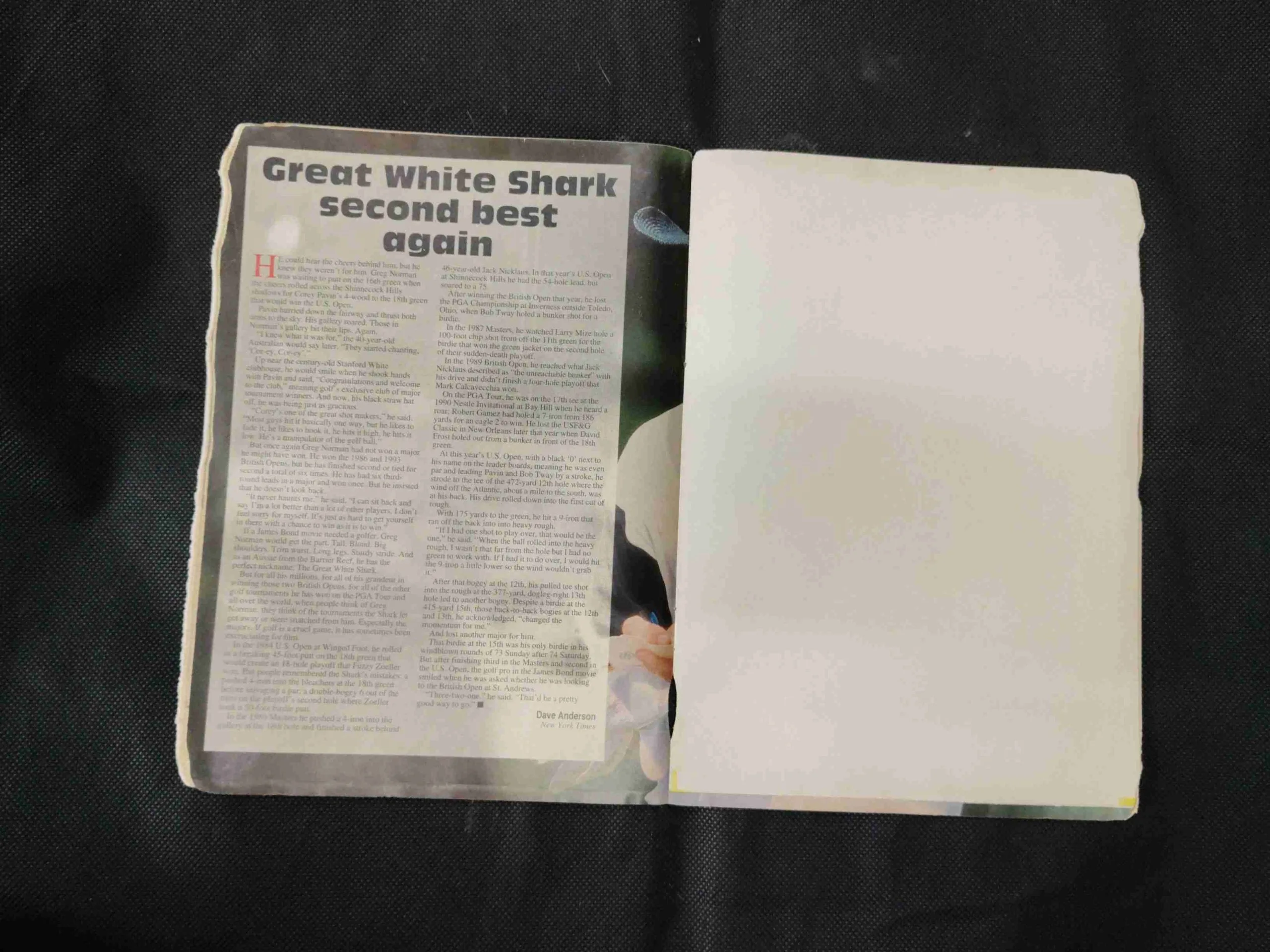 Sportstar ( July  8th 1995 ) There are termites on the edges of the book but the story is not damaged.