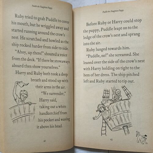 Puddle The Naughtiest Puppy ( By Hayley Daze )