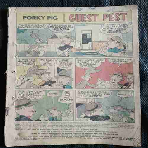 Porky Pig (Guest Pest )