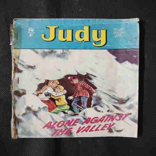 JUDY (ALONE AGAINST THE VALLEY)