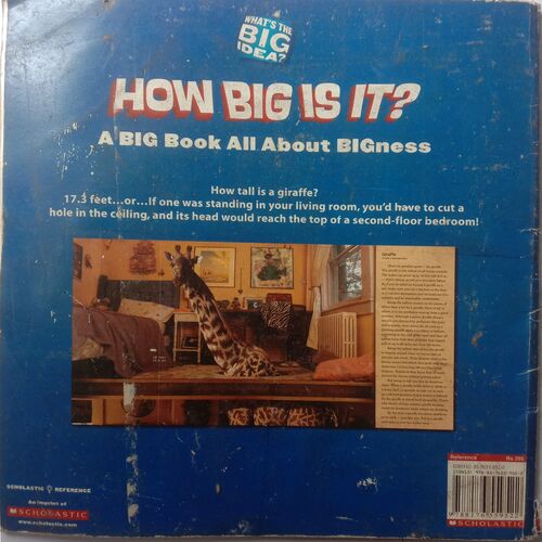 How Big Is It ?