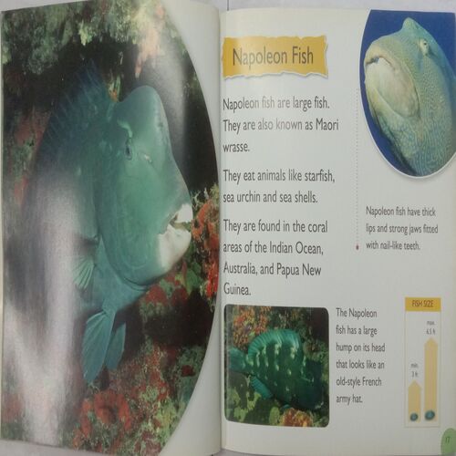 Know More Fish