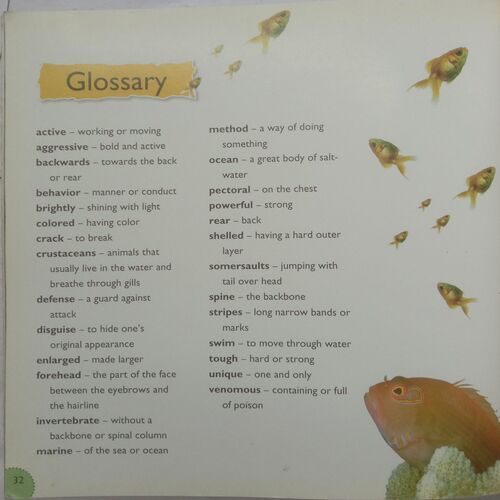 Know More Fish