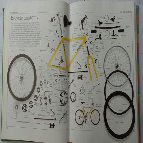Ultimate Family Visual Dictionary