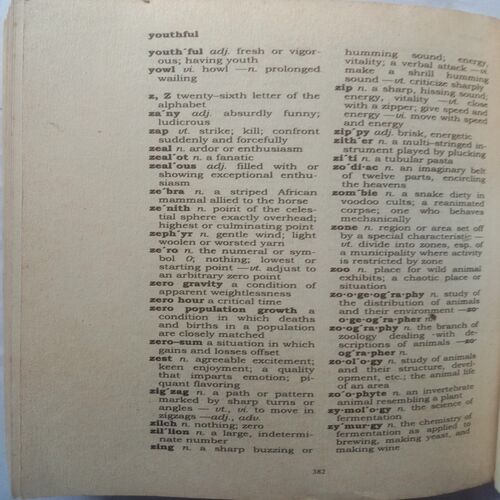 Webster's Vest Pocket Dictionary
