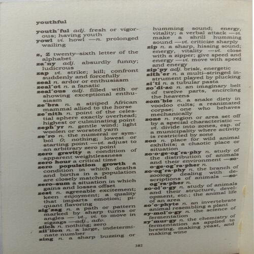 Webster's Vest Pocket Dictionary