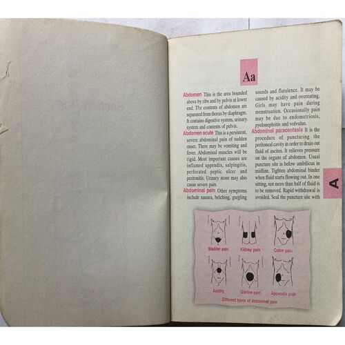Pocket's Nurses' Dictionary