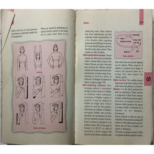 Pocket's Nurses' Dictionary