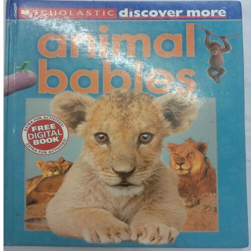 Animal Babies
