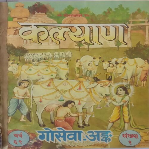 Kalyan Gosewa - Ank.