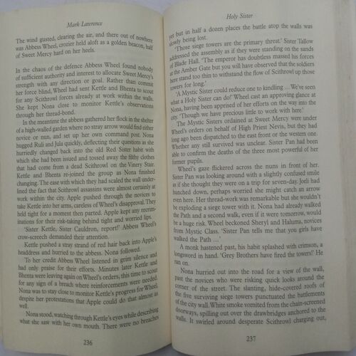 Holy Sister (Mark Lawrence)