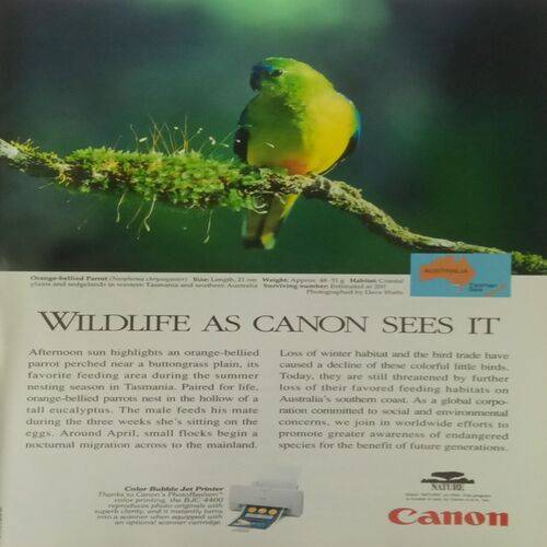 National Geographic. Edition:- (November 1998).