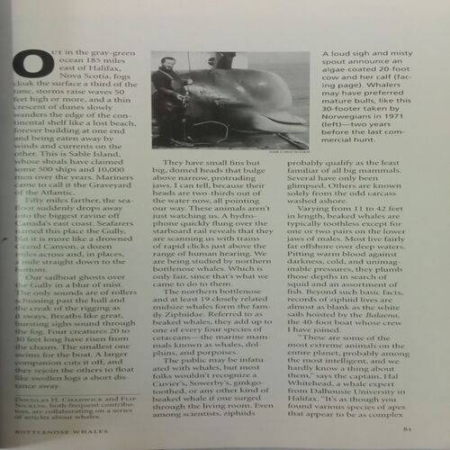 National Geographic. Edition:- (August 1998).