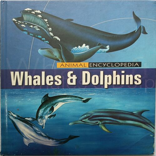 Animal Encyclopedia ( Whale & Dolphins )
