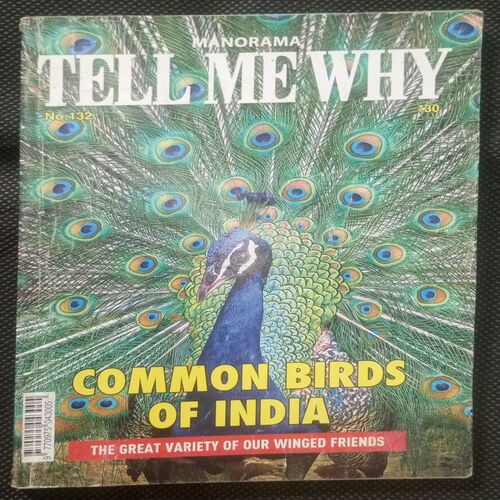 Tell Me Why (September 2017)