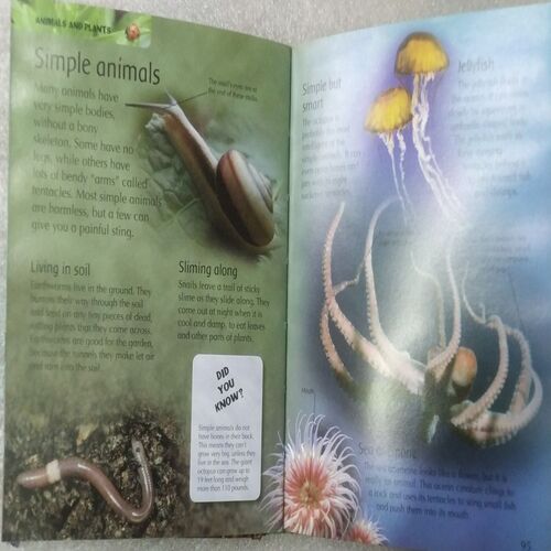 Children's Picture Encyclopedia