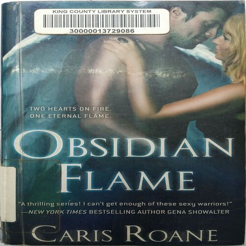 Obsidian Flame ( By Caris Roane )