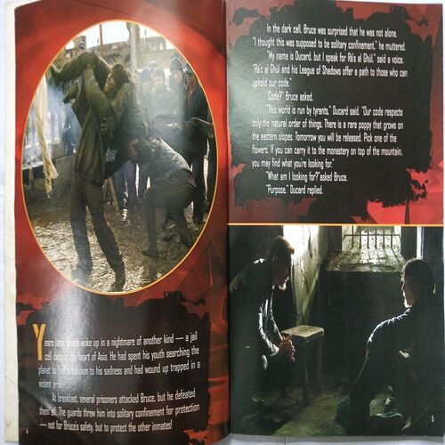 Batman Begins ( The Movie Storybook )