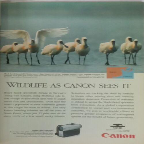 National Geographic. Edition:- (January 1999).