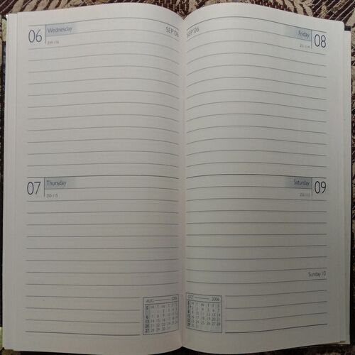 Diary 2006