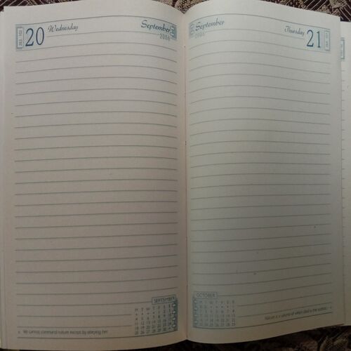 Diary 2006