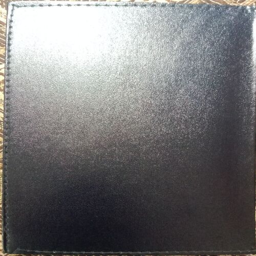 Diary 2006