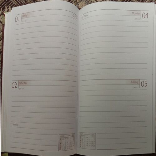 Diary 2006