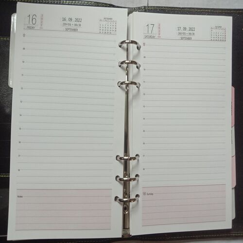 Diary 2022