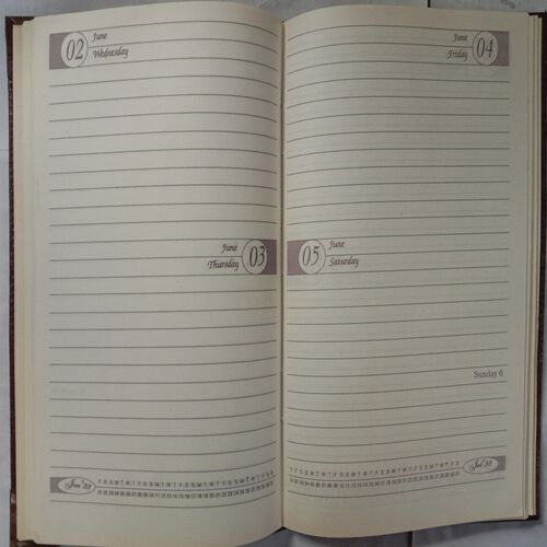 Executive Diary 1999