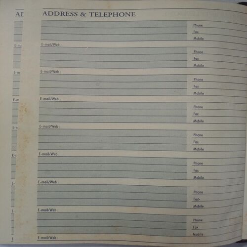 Executive Diary 2003