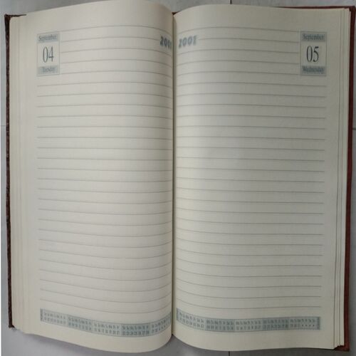 Diary 2001