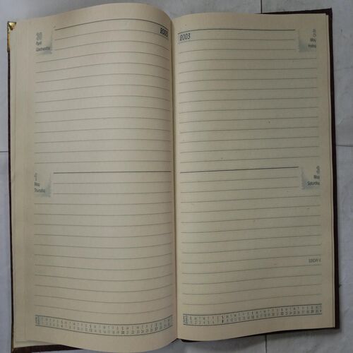 Executive Diary 2003