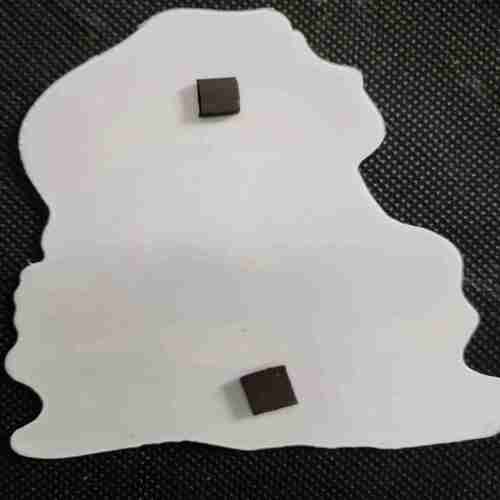 Freebies  Magnet Stickers (Nagraj )