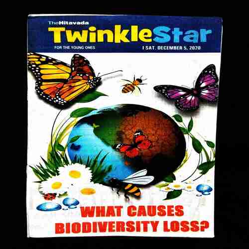 TwinkleStar ( 5 December 2020 ) .
