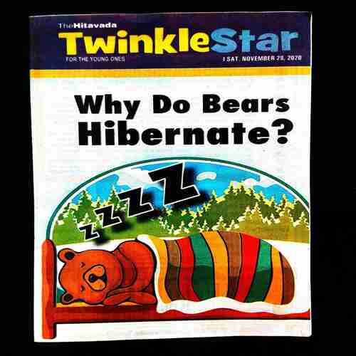 TwinkleStar ( 28 November 2020 ) .