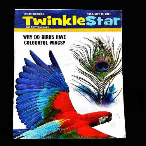 TwinkleStar ( 15 May 2021 ) .