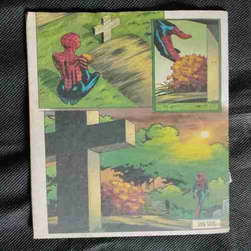 Spider Girl (Coverless))
