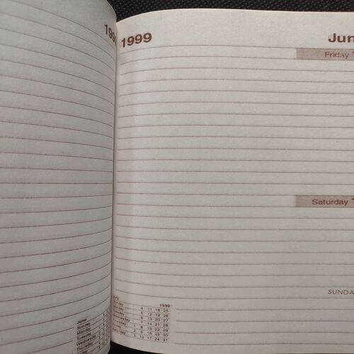 Executive Diary . Year :- ( 1999 ) .