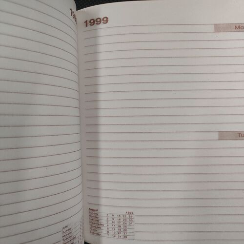 Executive Diary . Year :- ( 1999 ) .