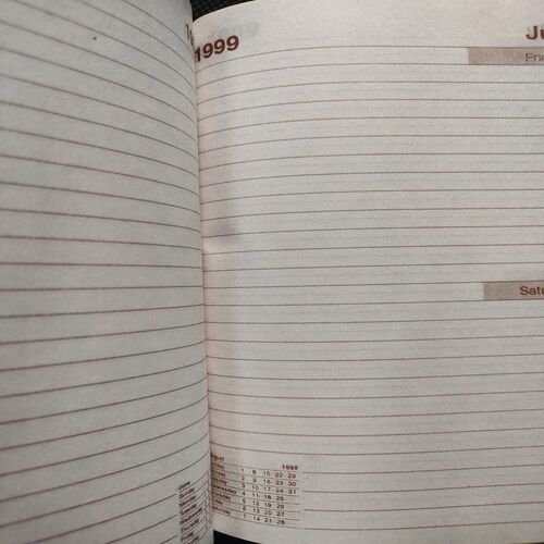 Executive Diary . Year :- ( 1999 ) .