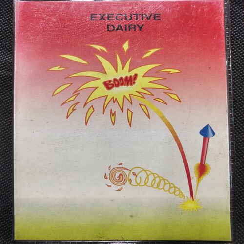 Executive Diary . Year :- ( 1999 ) .