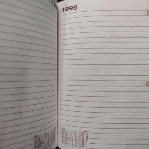 Executive Diary . Year :- ( 1999 ) .