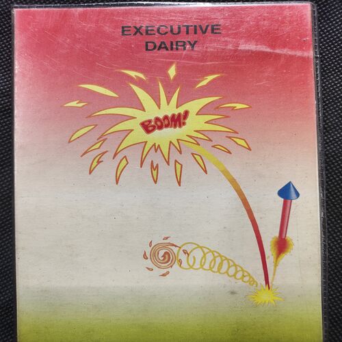 Executive Diary . Year :- ( 1999 ) .